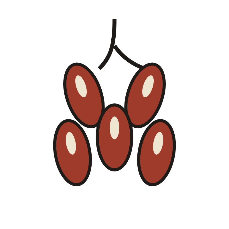 Kharek, the dates motif of Ajrakh, drawn in indigo and madder by House of Falguni
