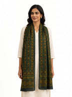 Nilufar modal silk stole in green Ajrakh print styled on model (AI-generated styling image)
